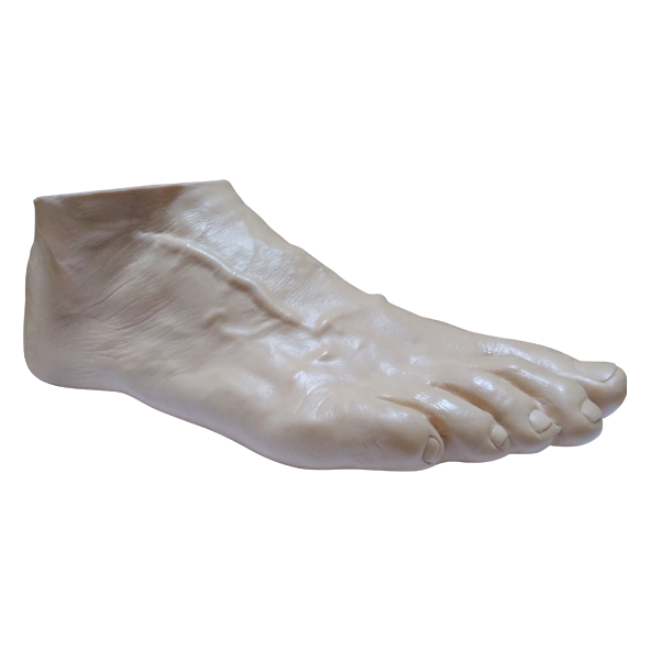 Стопа Lifecast